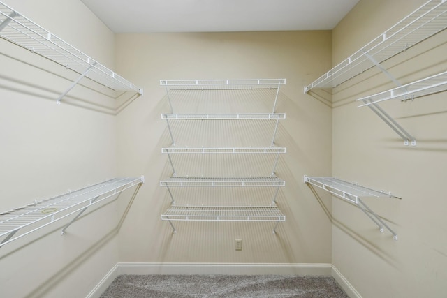 walk in closet featuring carpet floors