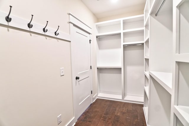 walk in closet with dark hardwood / wood-style floors