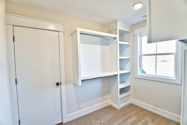 walk in closet with light carpet