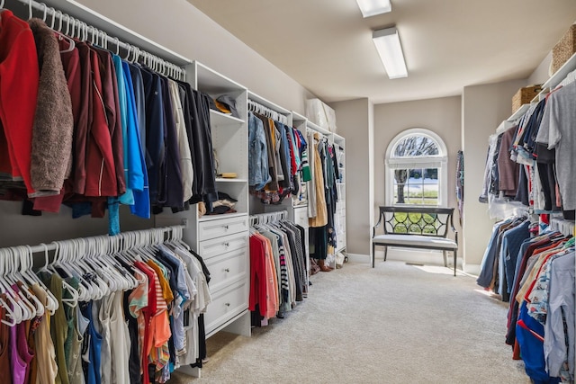 spacious closet featuring light colored carpet