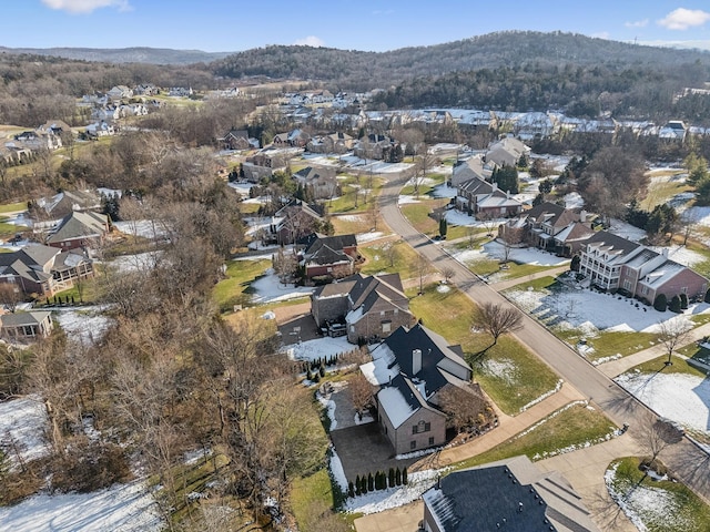 aerial view with a mountain view