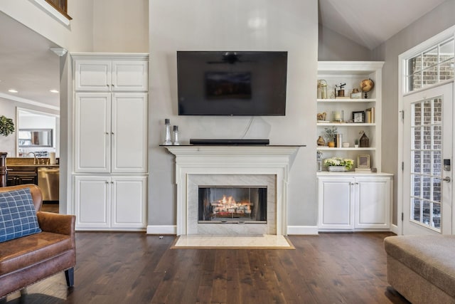 living room featuring dark wood-type flooring, a premium fireplace, built in features, vaulted ceiling, and sink