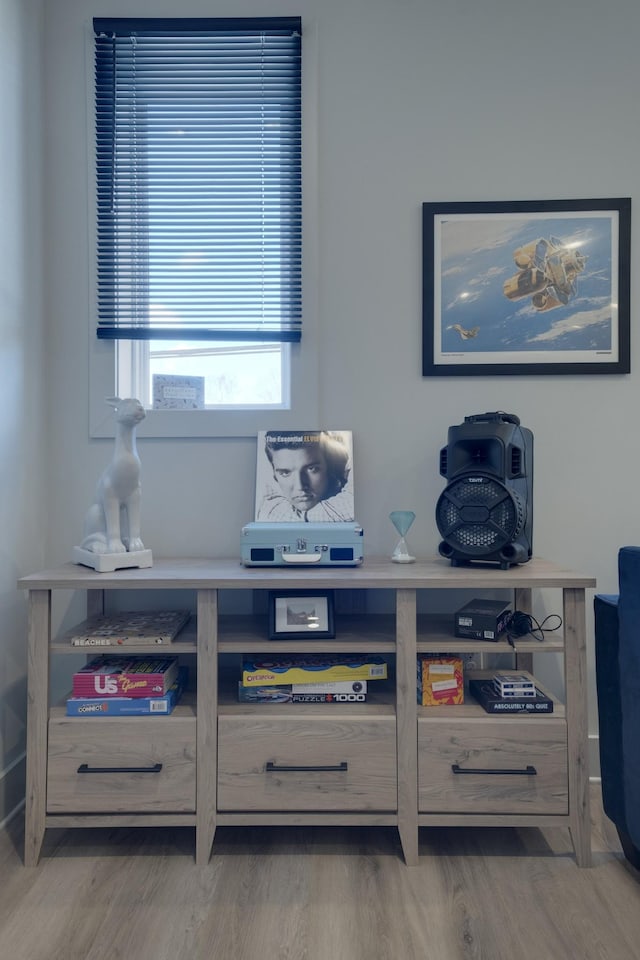 room details with hardwood / wood-style flooring
