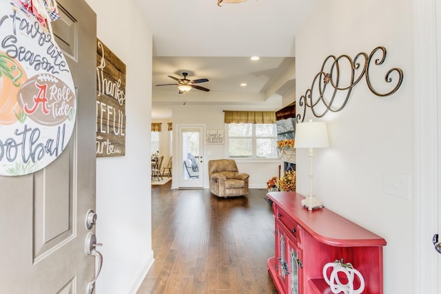 foyer with ceiling fan, dark hardwood / wood-style flooring, and a tray ceiling