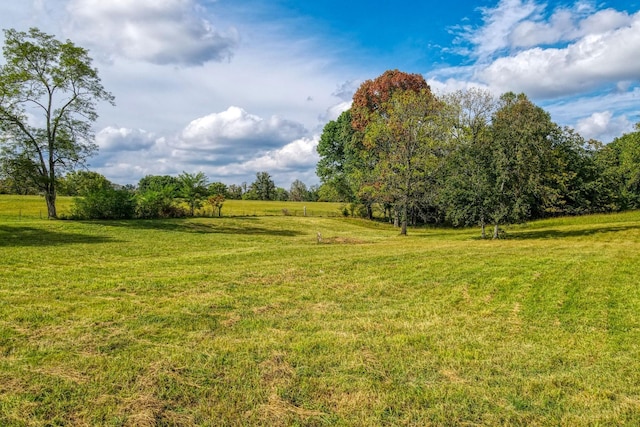 view of yard with a rural view