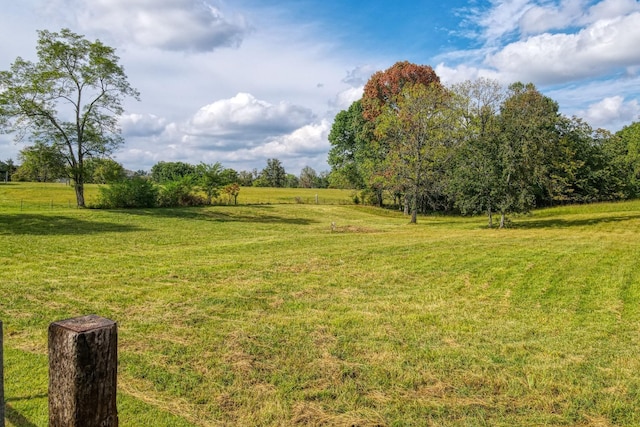 view of yard featuring a rural view