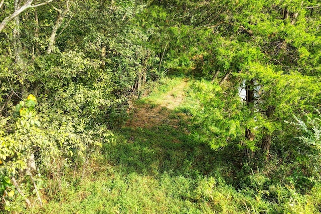 view of landscape