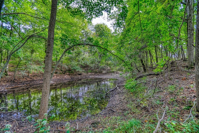 view of local wilderness featuring a water view