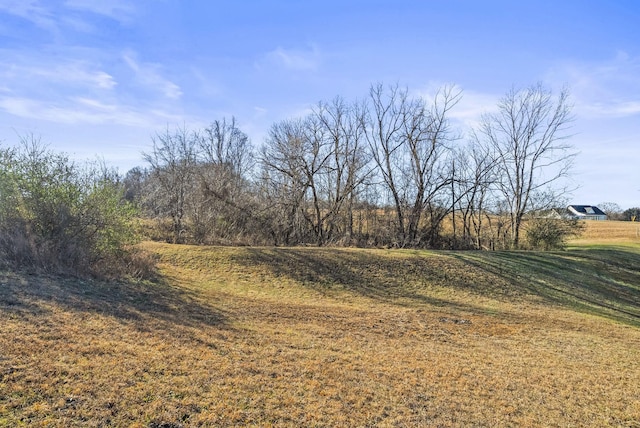 view of local wilderness with a rural view