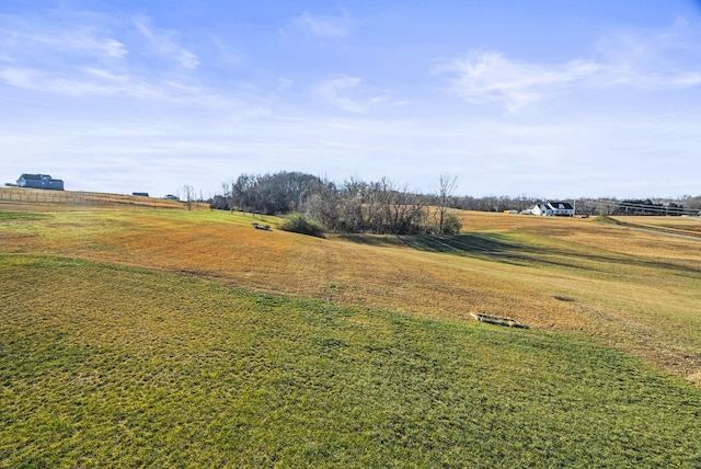 view of yard with a rural view