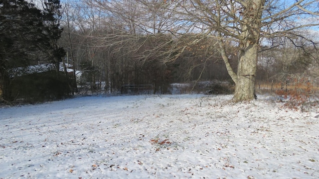 view of snowy yard