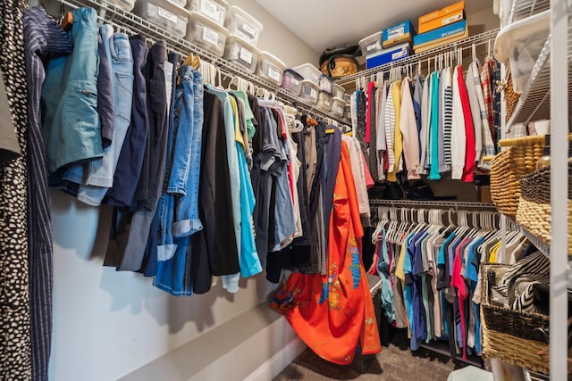 spacious closet featuring carpet flooring