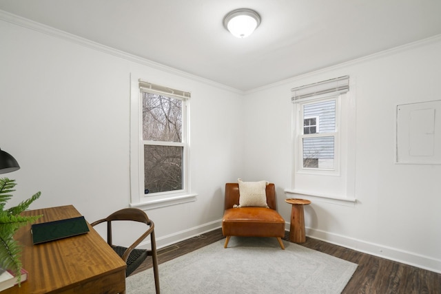 office space featuring crown molding and dark hardwood / wood-style flooring