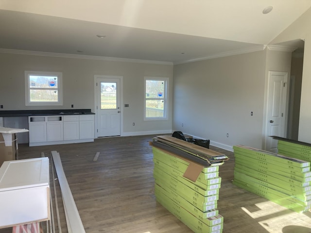 interior space with vaulted ceiling, white cabinetry, ornamental molding, and dark hardwood / wood-style flooring