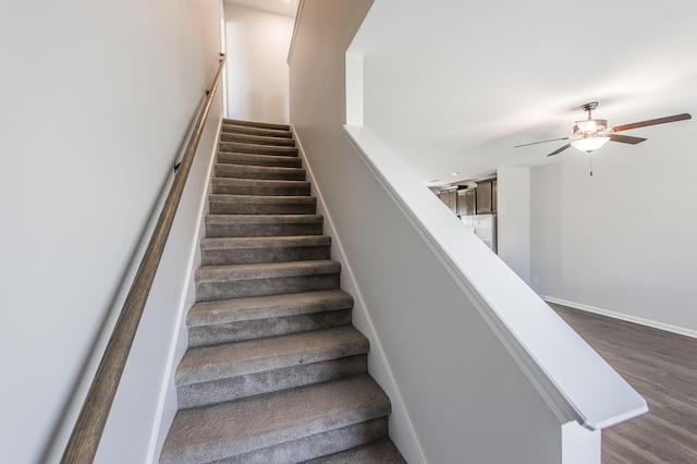 stairs featuring ceiling fan and hardwood / wood-style floors