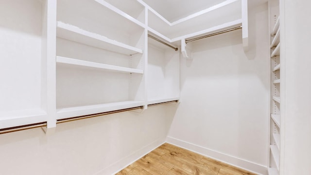 spacious closet featuring hardwood / wood-style flooring