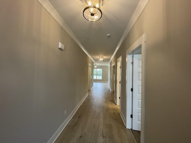 hallway featuring ornamental molding and hardwood / wood-style flooring