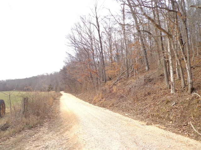 0 Dry Hollow Rd, Mc Ewen, TN 37101 - photo 14