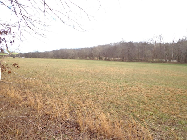 0 Dry Hollow Rd, Mc Ewen, TN 37101 - photo 3