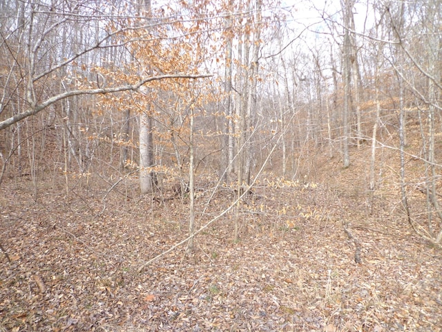 0 Dry Hollow Rd, Mc Ewen, TN 37101 - photo 6