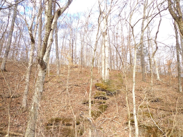 0 Dry Hollow Rd, Mc Ewen, TN 37101 - photo 10