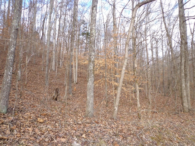 0 Dry Hollow Rd, Mc Ewen, TN 37101 - photo 5
