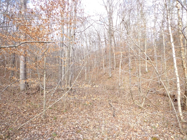 0 Dry Hollow Rd, Mc Ewen, TN 37101 - photo 9
