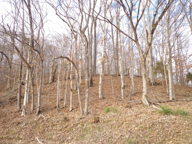0 Dry Hollow Rd, Mc Ewen, TN 37101 - photo 1