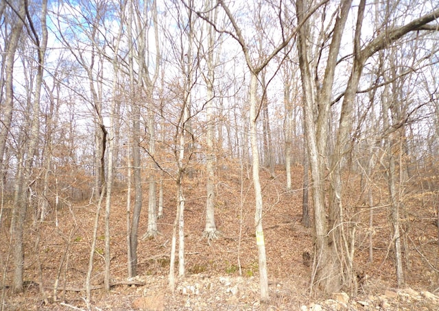 0 Dry Hollow Rd, Mc Ewen, TN 37101 - photo 7