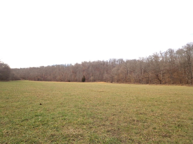 0 Dry Hollow Rd, Mc Ewen, TN 37101 - photo 11