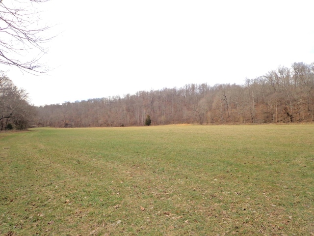 0 Dry Hollow Rd, Mc Ewen, TN 37101 - photo 2