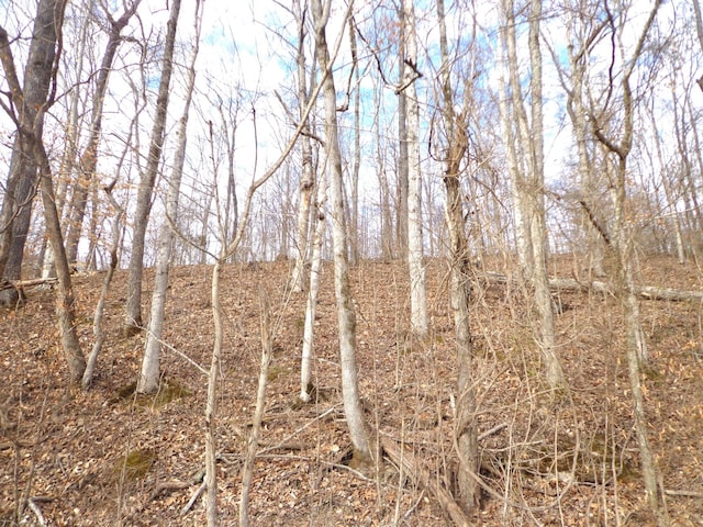 0 Dry Hollow Rd, Mc Ewen, TN 37101 - photo 8