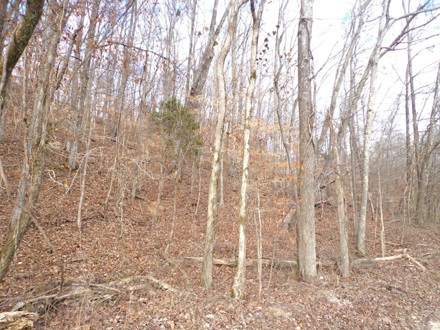 0 Dry Hollow Rd, Mc Ewen, TN 37101 - photo 4