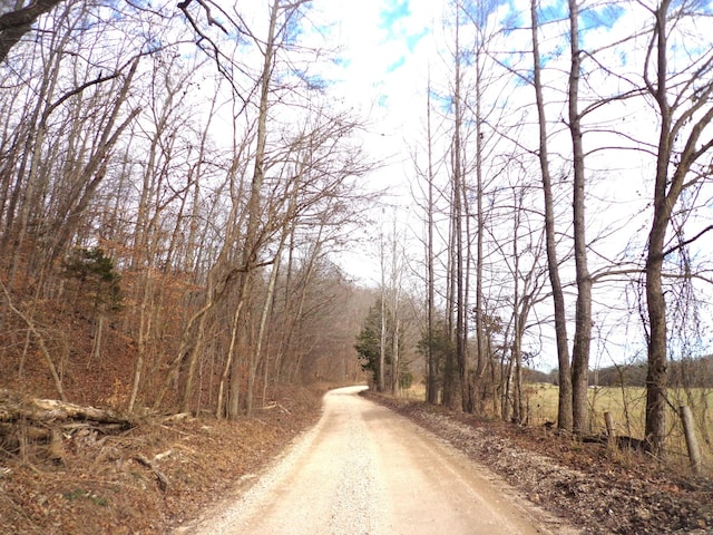 0 Dry Hollow Rd, Mc Ewen, TN 37101 - photo 13
