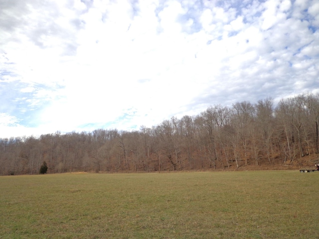 0 Dry Hollow Rd, Mc Ewen, TN 37101 - photo 12