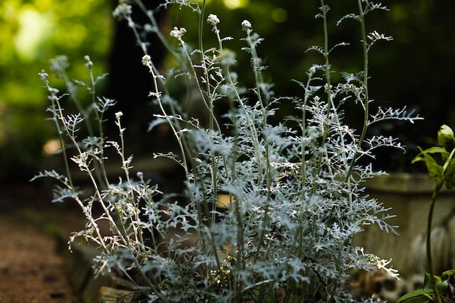 view of nature