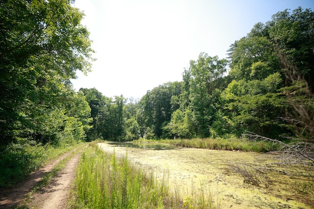 view of local wilderness