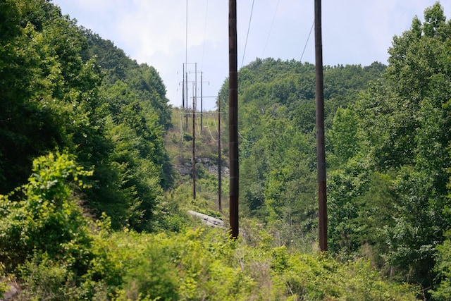 view of landscape