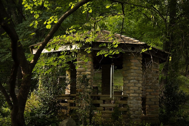 view of local wilderness