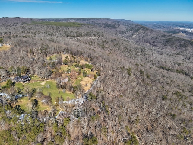 birds eye view of property with a mountain view