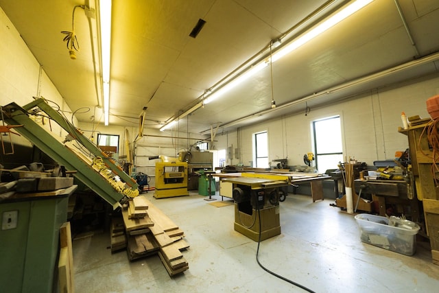 basement featuring a workshop area