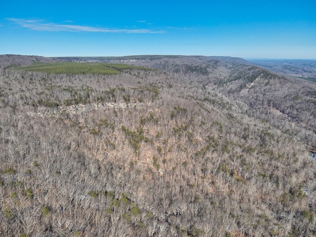 bird's eye view with a mountain view