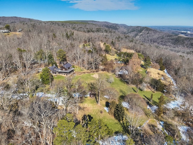 drone / aerial view with a mountain view