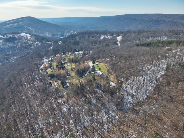 birds eye view of property with a mountain view