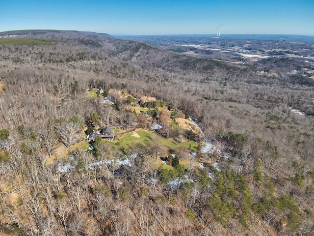 bird's eye view with a mountain view