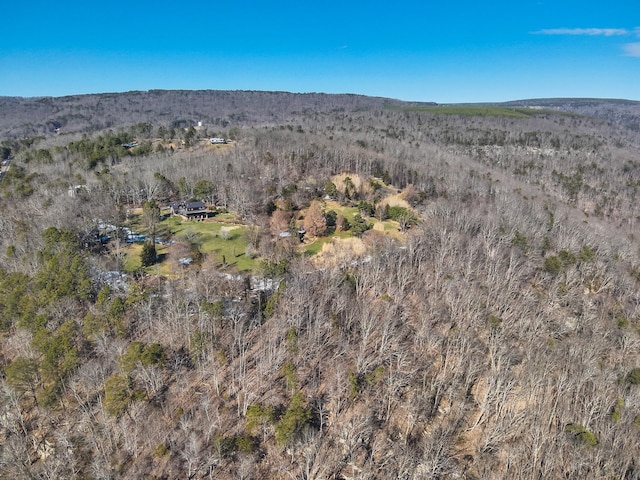 186 Kinzalow Dr, Dayton, TN 37321 - photo 87