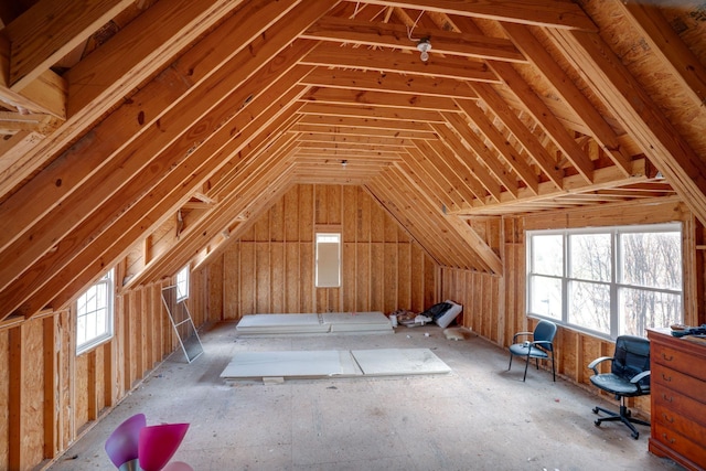 view of unfinished attic