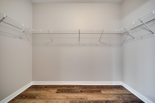 walk in closet featuring wood-type flooring