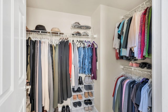 view of spacious closet