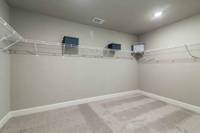 walk in closet with carpet flooring